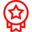 Network Icon